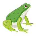 rana 