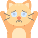 gatito icon