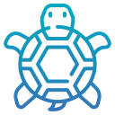 tortuga icon