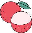 lychee icon