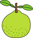 pomelo icon