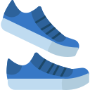 zapato icon