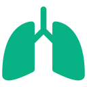 pulmones icon