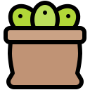 aceitunas icon