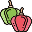 Dieta icon