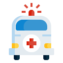 médico icon