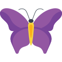 mariposa icon