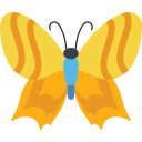 mariposa icon