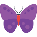 mariposa icon