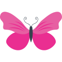 mariposa icon