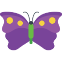 mariposa icon