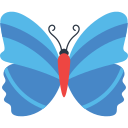 mariposa icon