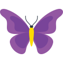 mariposa icon