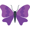 mariposa icon