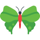 mariposa icon