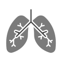 pulmones icon