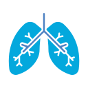 pulmones icon