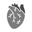 corazón icon