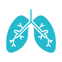 pulmones icon