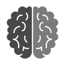 cerebro icon