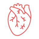 corazón icon