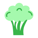 brócoli icon