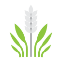 riz icon