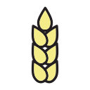 avena icon