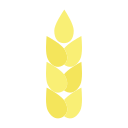 귀리 