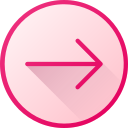 flecha correcta icon