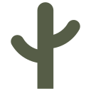 cactus icon