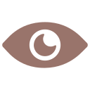 ojo icon