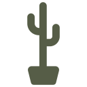 cactus icon