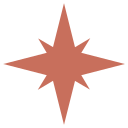 estrella icon