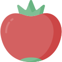 Tomate icon