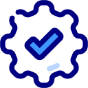 correcto icon