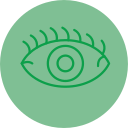 ojo icon