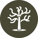 Árbol icon