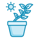 plantas icon