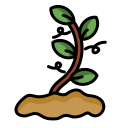 plantas icon