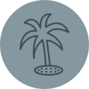 palmera icon