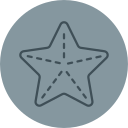 estrella de mar icon