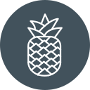 piña icon