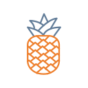 piña icon