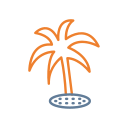 palmera icon