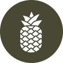 piña icon