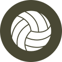 vóleibol icon