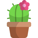 cactus icon