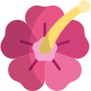 hibisco icon