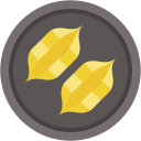 conchigle icon